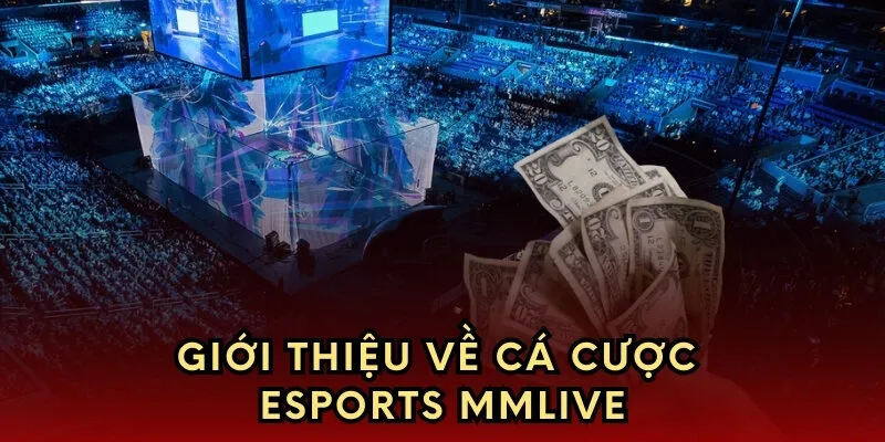 Giới thiệu về cá cược esports